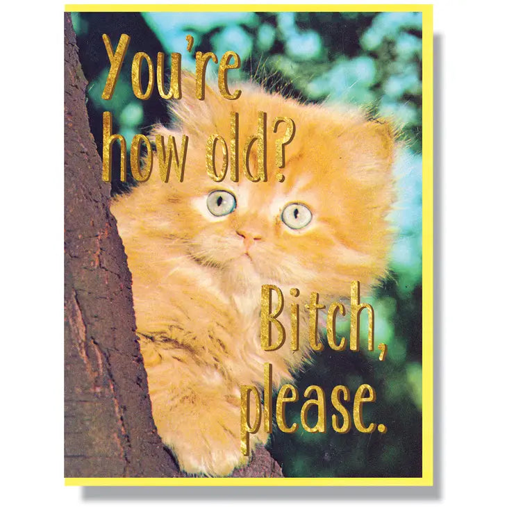 Birthday Card. With Kitten. You're how old Bitch please 