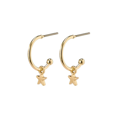 Ava Hoop Earrings, Gold Plated (7013016174654)